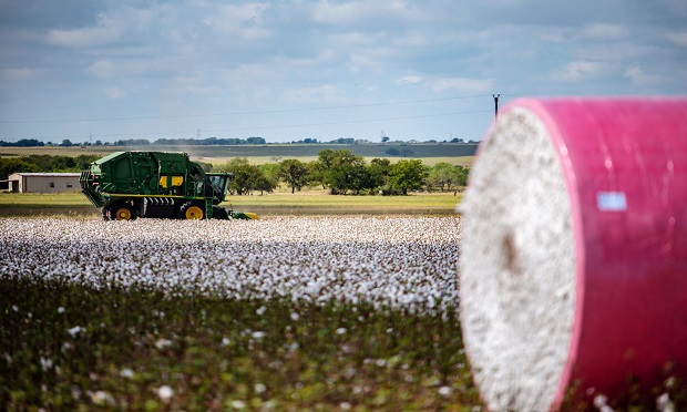 A cotton sweeper sweeps a field outside Rogers, Texas, on Thursday, Aug. 30, 2018. (Photo: Sergio Flores/Bloomberg)