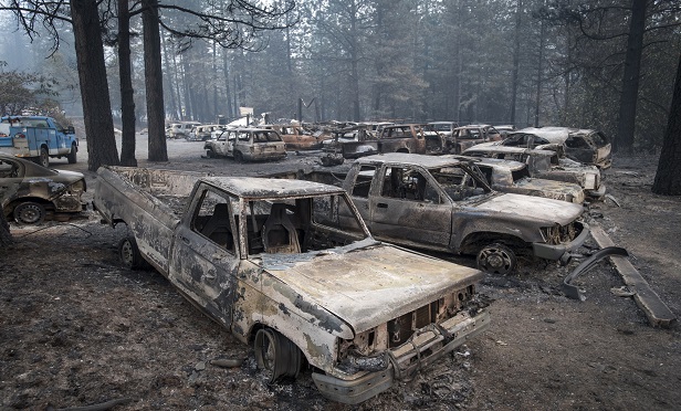 Burned-out vehicles in Paradise, California, in November. (Photo: David Paul Morris/Bloomberg)