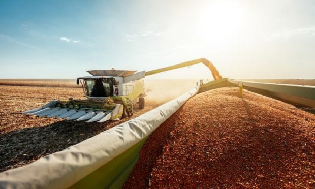 A combine harvesting corn. (Photo: Shutterstock)