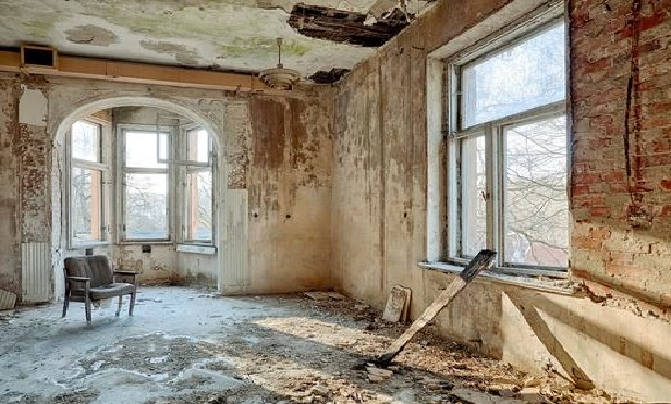 Specific factors should be considered in every mold inspection including cause and origin, the extent of the mold damage and the remediation goals.