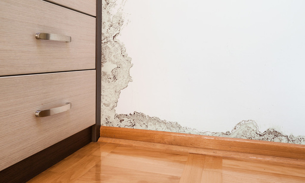 Water-damage events can destroy equipment, computer/phone systems, records and supplies as well as cause significant structural damage to the ceilings, walls and floors. (Photo: webeno/Adobe Stock)