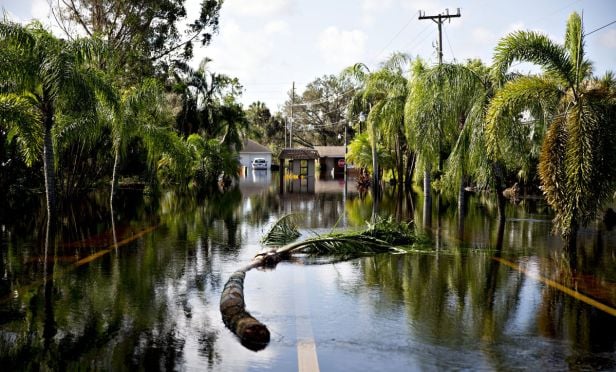 hurricane damage
