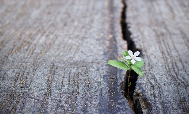 This is the story of one up-and-coming insurance professional driven by the desire to be an entrepreneur. (Photo: iStock)