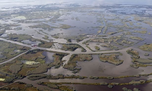 coastal wetlands