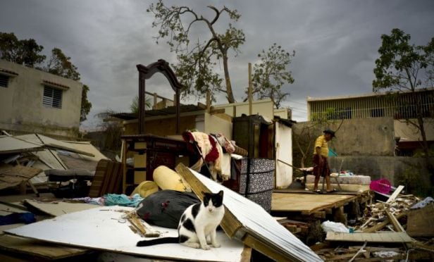 Hurricane Maria