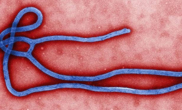 Ebola virus