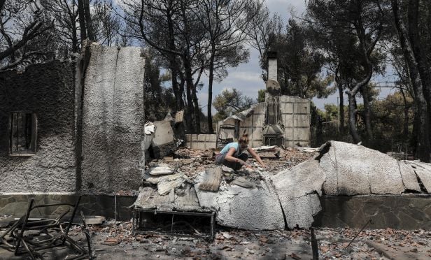 wildfire clean up