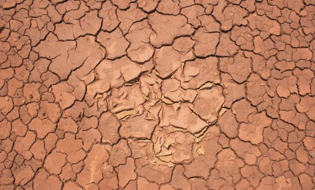 Dry soil