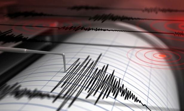 seismograph