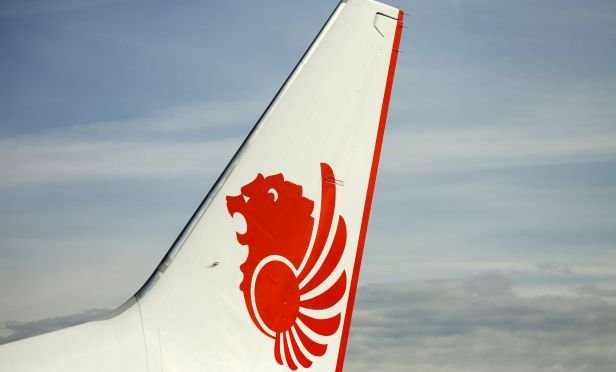 Lion air logo on jet tail.