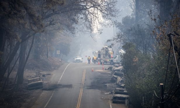 wildfire aftermath
