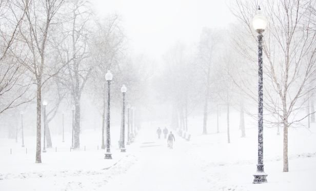 snowstorm