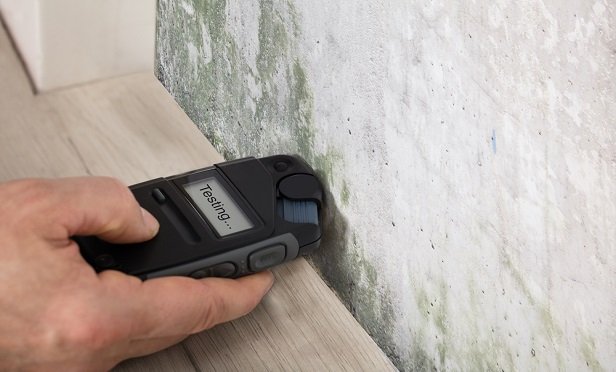 Hiring mold assessors.