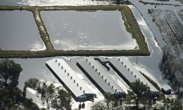 Climate change disaster risk