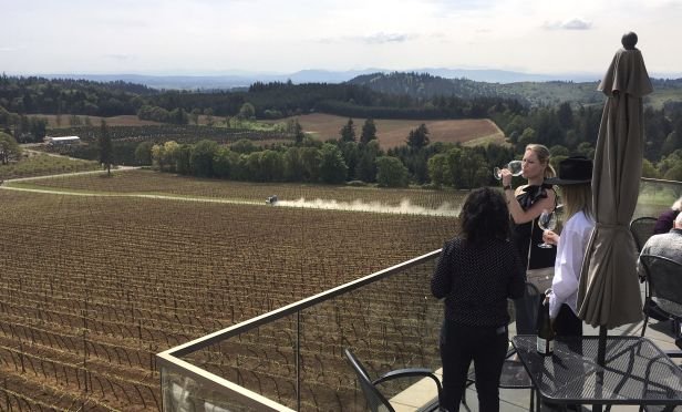 Oregon vineyard.