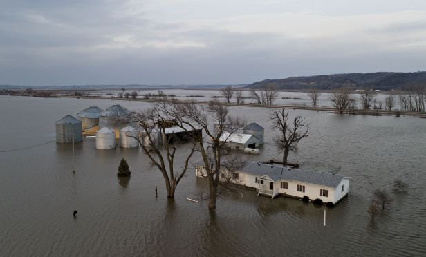 Floodwaters.