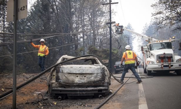 Wildfire damage