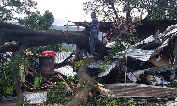 A man stands on fallen trees which damaged his home in Moroni, Comoros, Thursday, April 25, 2019 after Cyclone Kenneth hit the island nation of Comoros. As the powerful tropical cyclone is expected to make landfall by early Friday in northern Mozambique, just six weeks after Cyclone Idai devastated the the central part of the country and left hundreds dead. (AP PhotoAnziza M'Changama)