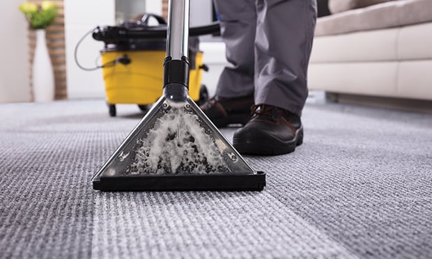 Cleaning moldy carpet.