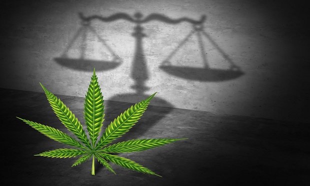 The proposed CLAIM act clarifies definitions applicable to the cannabis industry, proposes legislative protections for companies doing business with in or in partnership with the industry, and outlines potential federal agency guidelines. (Shutterstock)