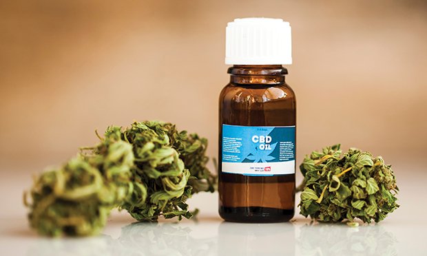 Coverage for CBD, hemp and marijuana.