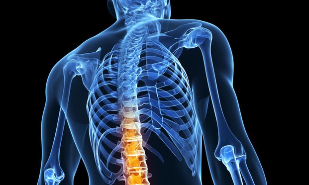The plaintiff claimed he reinjured his cervical and lumbar spine and sustained new injuries to his thoracic spine after colliding with a school bus in 2014. (Photo: ALM Archives)