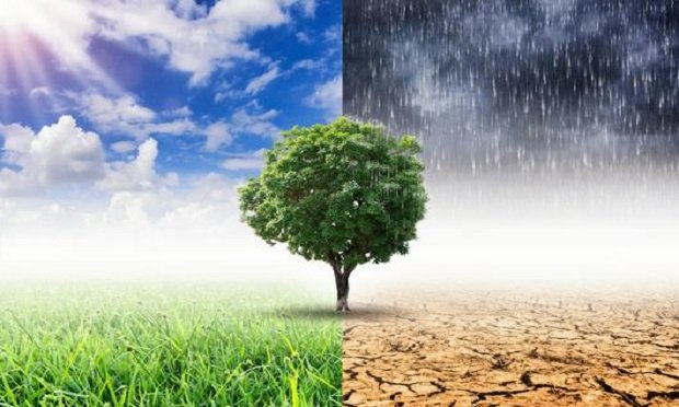 To date, 19 global insurers have adopted restrictions on coal coverage and investments. (Photo: Shutterstock)
