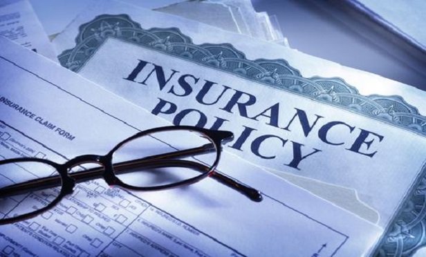 Insurance policy and glasses.