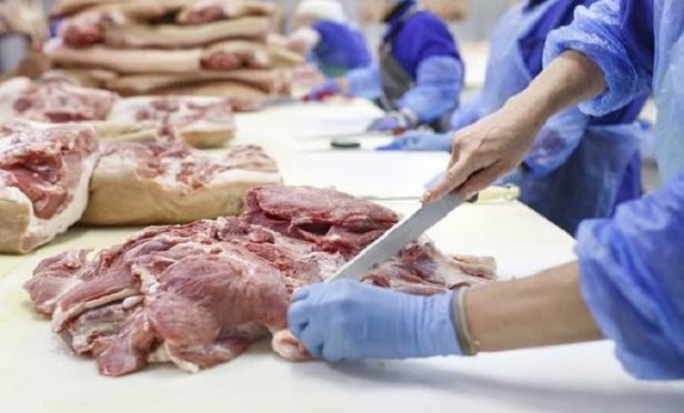 Employee in a meatpacking plant.