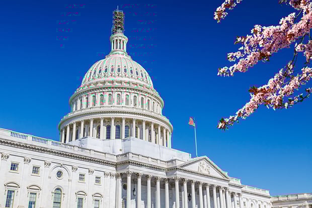 U.S.-Capitol-with-cherry-blossoms