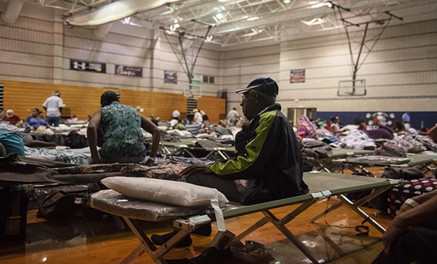 People in high school gym on cots