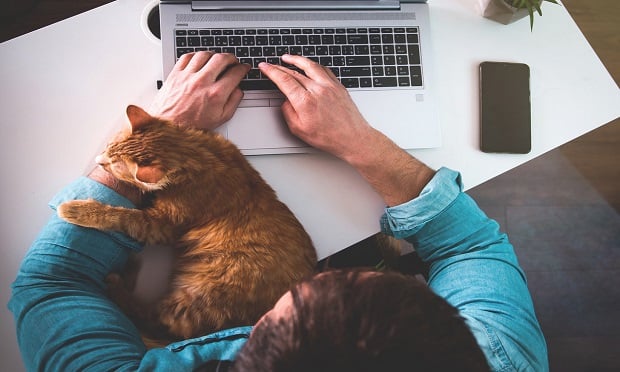 Pets are family. Just like children, they can be expensive. (Shutterstock)