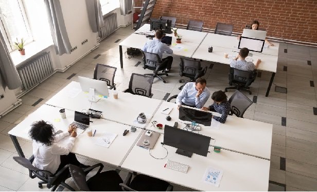 Employees being trained on computers.
