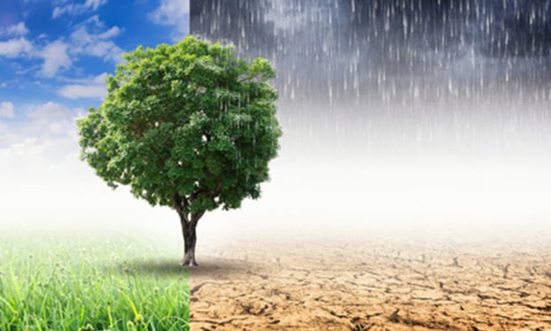 Expect a sharp rise in climate change lawsuits against companies and their executive in the coming year, according to Clyde & Co. LLP. (Credit: 24Novembers/Shutterstock.com)