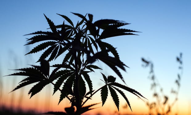 The CLAIMS Act aims to ensure marijuana and related business can access comprehensive and affordable coverages. (Credit: Yarygin/Shutterstock.com) 