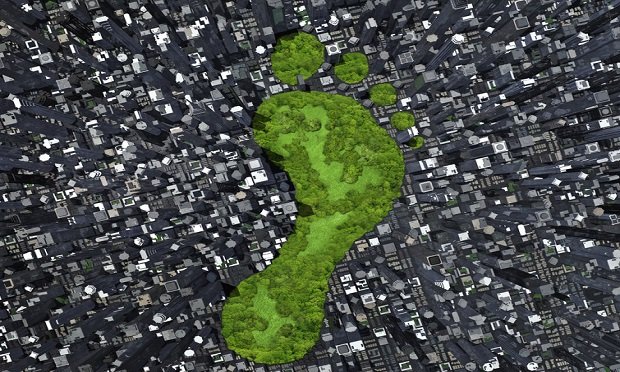 A growing number of insurers have already announced plans to reduce their own company's carbon footprint. (Shutterstock)