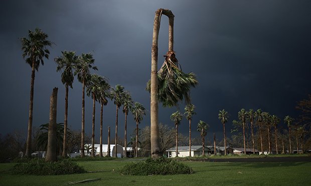 Hurricanes are also forming earlier than they have historically. U.S. and international authorities are considering moving up the official start of the Atlantic season by two weeks to May 15, because so many more storms are forming then. (A palm tree damaged by Hurricane Ida in Galliano, Louisiana, on Aug. 31, 2021. Credit: Luke Sharrett/Bloomberg)