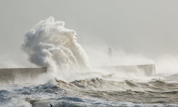 A 2019 report from Miami engineering firm GFA International said the seawall was 