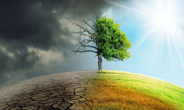 A tree stands on top of a hill. In the left side of the split frame, the sky is dark and polluted, the ground is cracked, and the tree is dead. On the right side, the sky is clear and blue, grass covers the hillside, and the tree is alive and well.