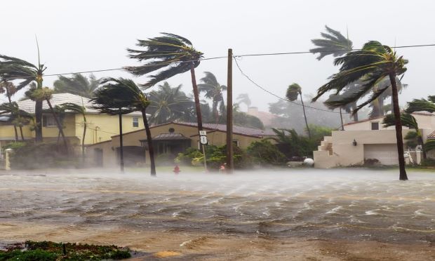 A photo taken in the midst of Hurricane Irma shows trees and rain blowing near homes.