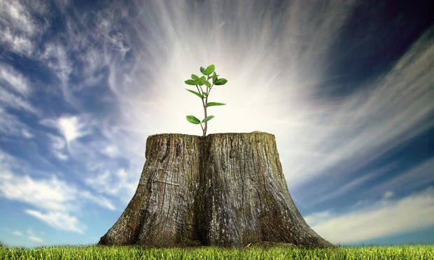 Brenda (Ballard) Austenfeld says the continued flow of business into the E&S channel shines a spotlight on the need for additional top underwriting talent. (Photo: Kerem Severoğlu Adobe Stock)