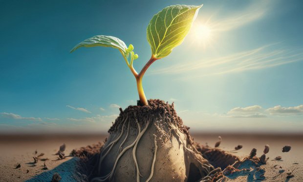 Today's independent insurance agents are overcoming challenges to serve clients and grow their businesses. (Adobe Stock)