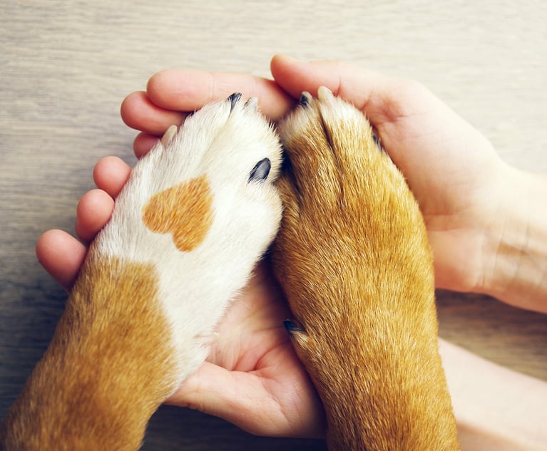 The percentage of dog owners with pet health insurance rose from 15% in 2018 to 22% in 2022, according to the American Pet Product Association. (Credit: isavira/Adobe Stock)