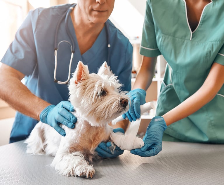 Chubb has served as the exclusive underwriter for the pet insurance brand since 2013. Credit: Friends Stock/Adobe Stock