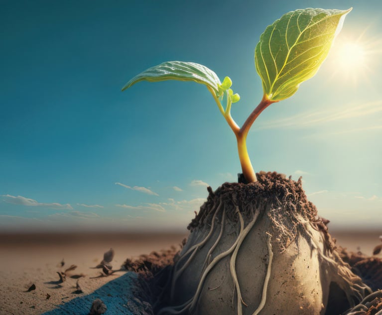 A plant growing out of a pile of dirt.