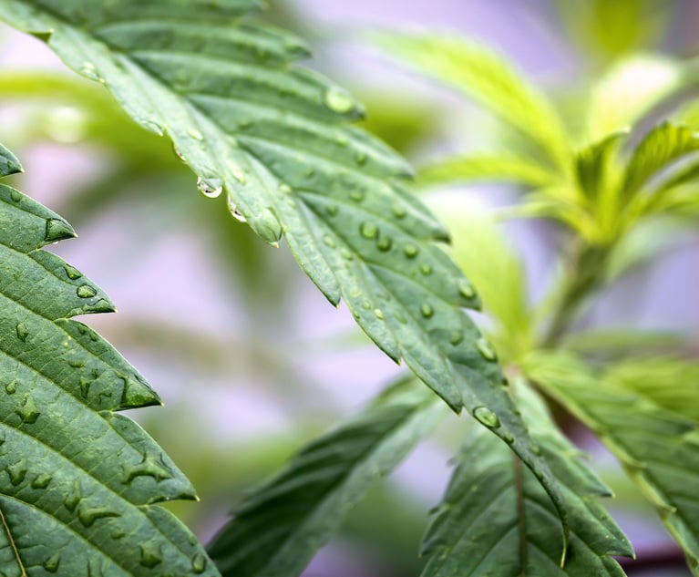 While OSHA encourages a drug-free workplace, no federal law requires mandatory drug testing for all government contractors. (Credit: TayHamPhotography/Shutterstock)