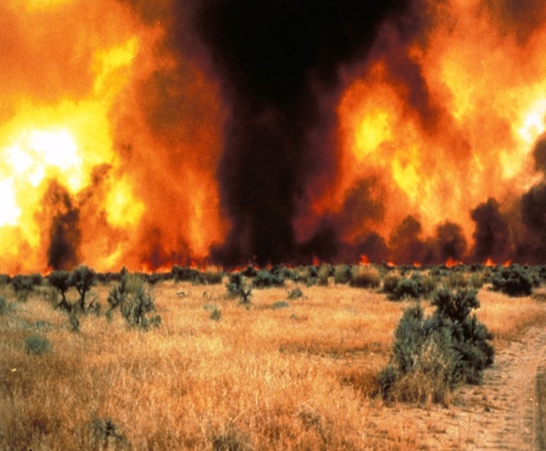 Engulfed sagebrush and cheatgrass stocked this Idaho wildfire in 2013. (Credit Michael Pellant/BLM/Wikipedia Commons)