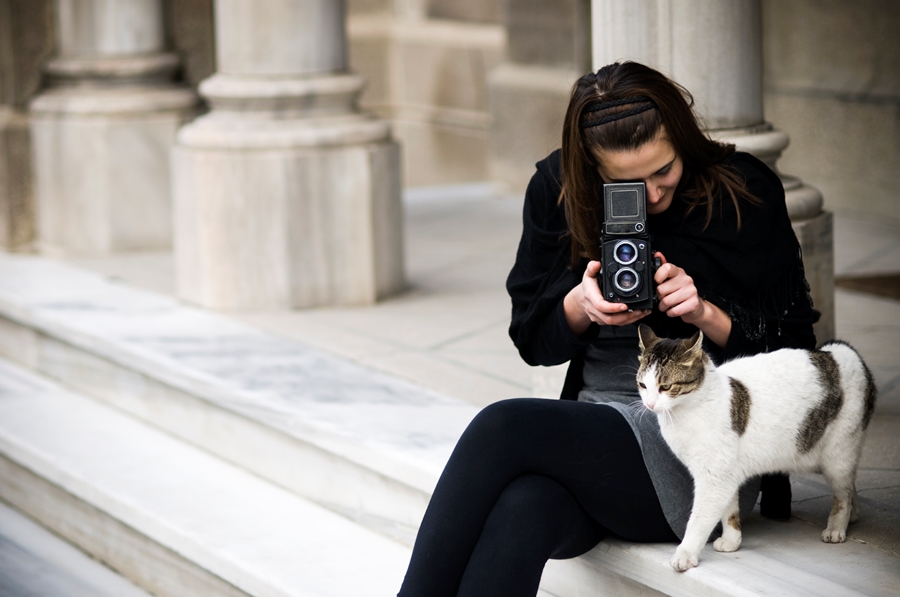 Woman photographing cat (photo: Getty)