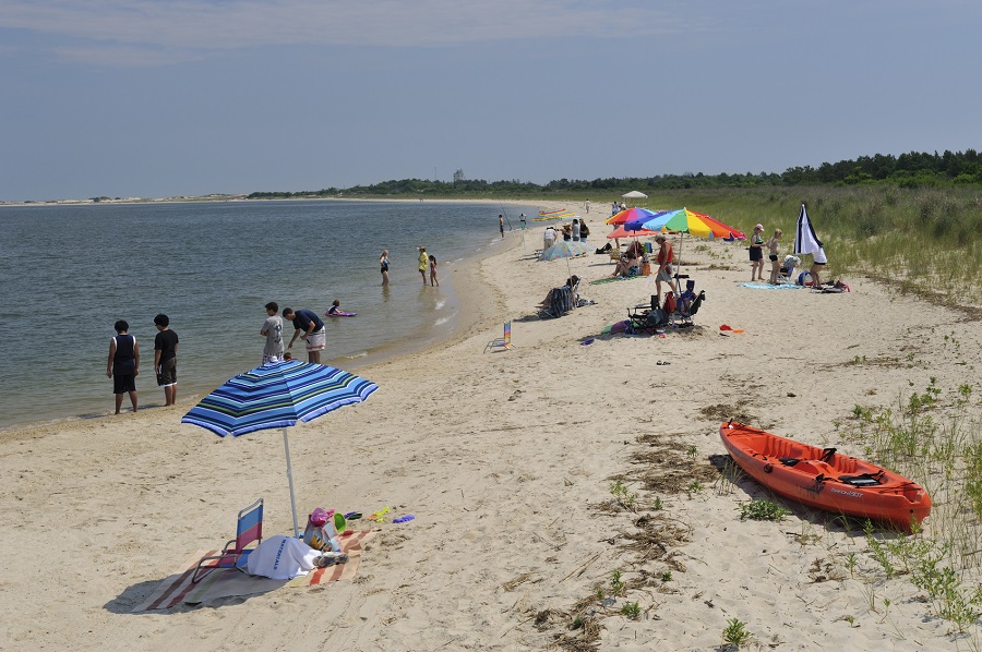 A beach near Lewes, Delaware (photo: Getty)