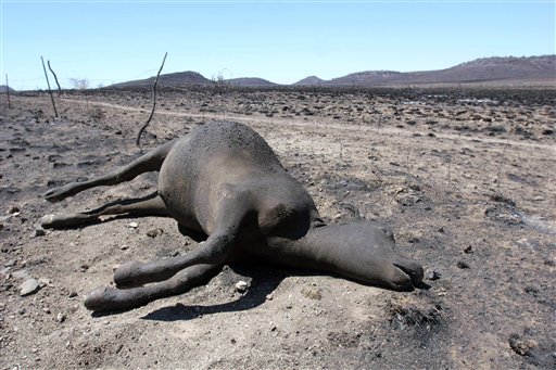 Texas Wildfire April 2011